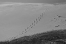 Black & White Portfolio